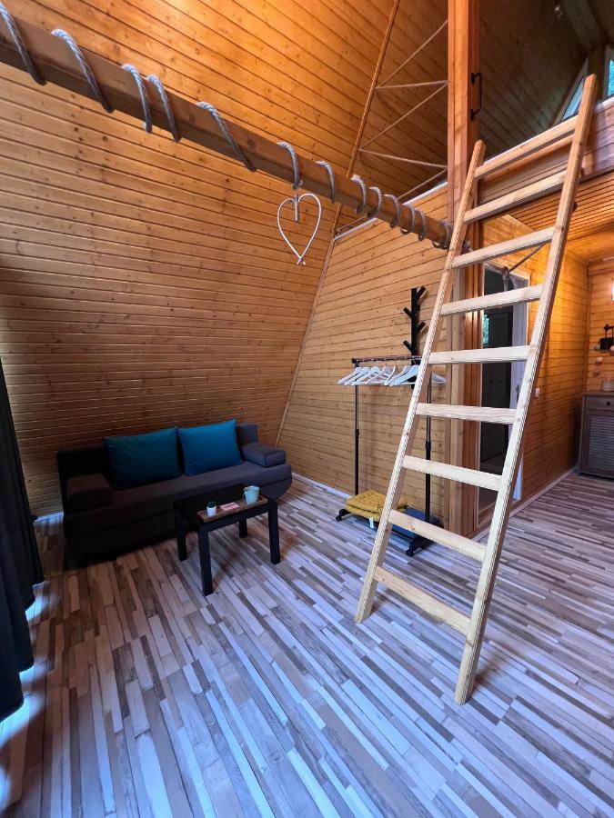 Cabane A-Frame Svinita Εξωτερικό φωτογραφία