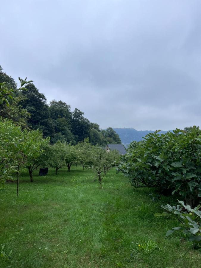 Cabane A-Frame Svinita Εξωτερικό φωτογραφία