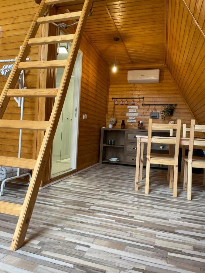 Cabane A-Frame Svinita Εξωτερικό φωτογραφία
