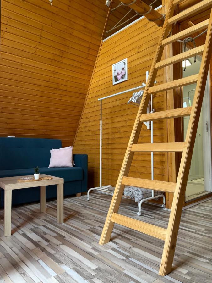Cabane A-Frame Svinita Εξωτερικό φωτογραφία