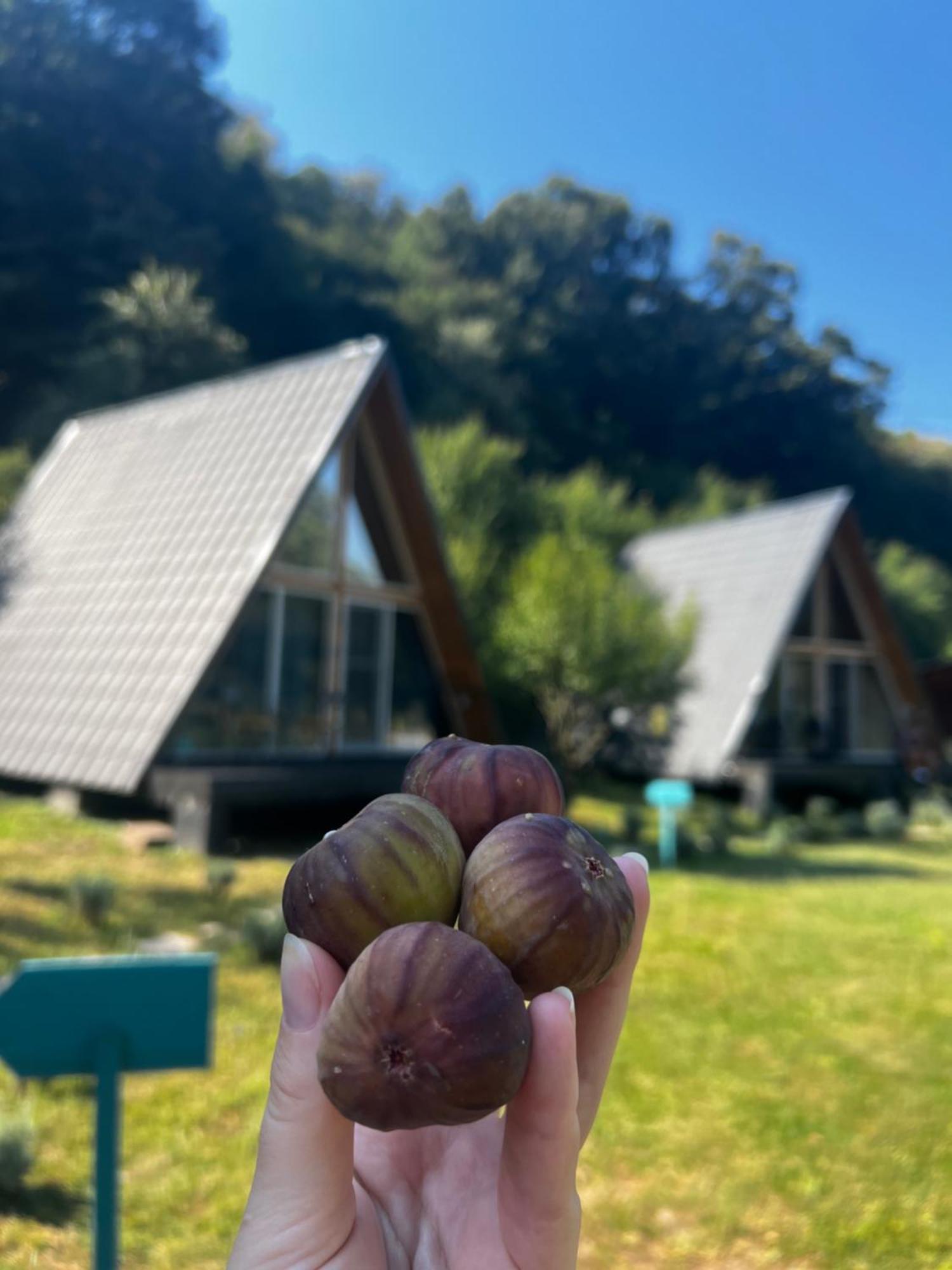 Cabane A-Frame Svinita Εξωτερικό φωτογραφία