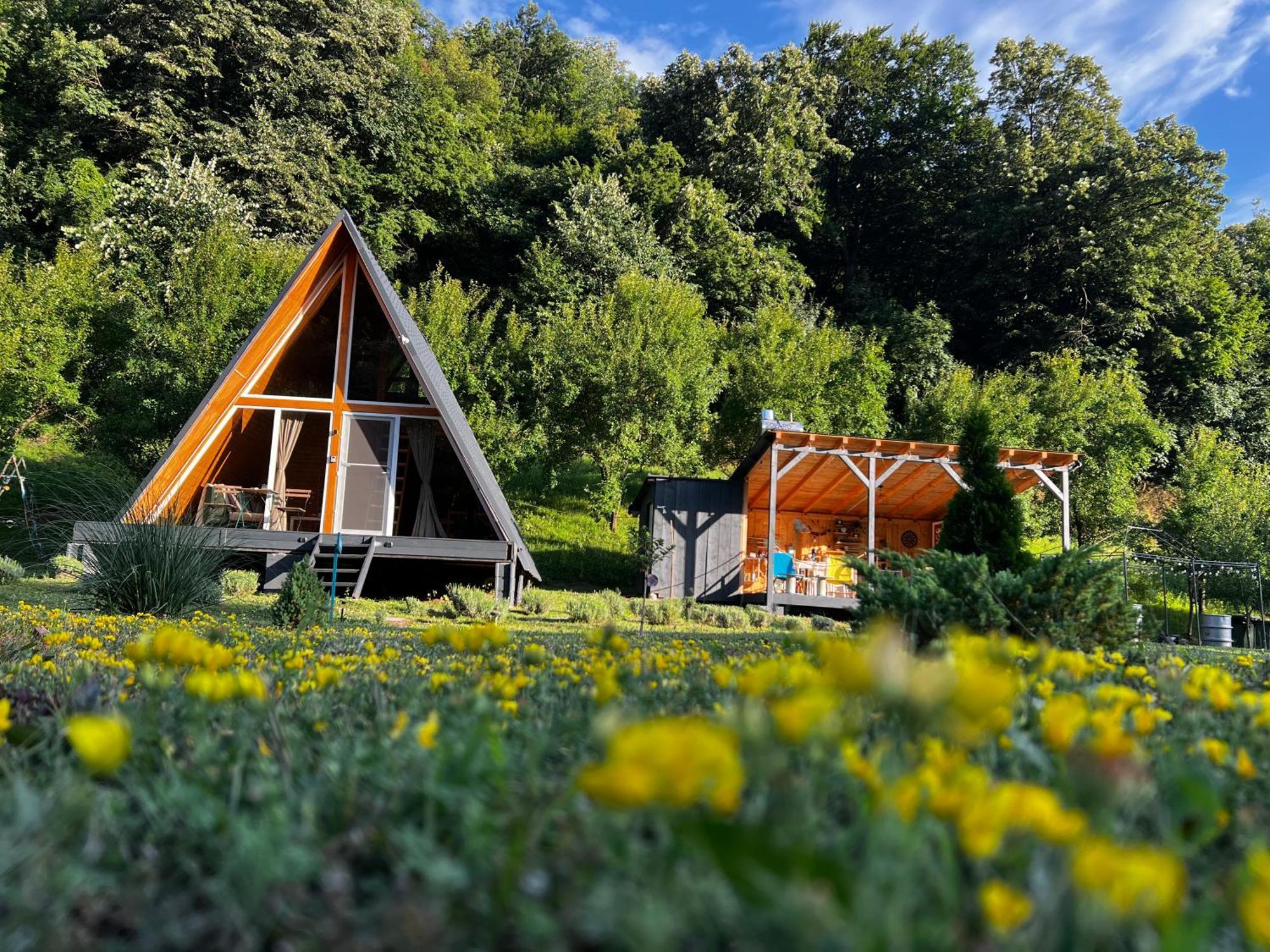 Cabane A-Frame Svinita Εξωτερικό φωτογραφία